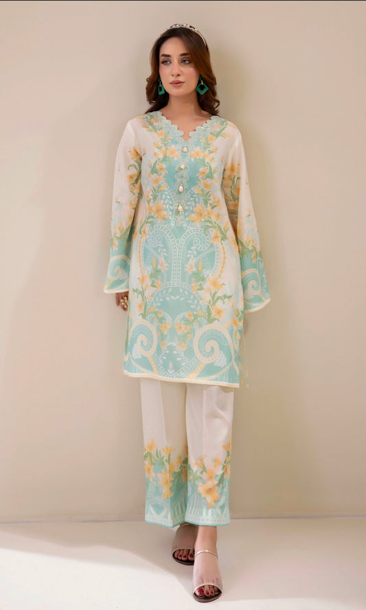 Adan's Libas Co-ord Set